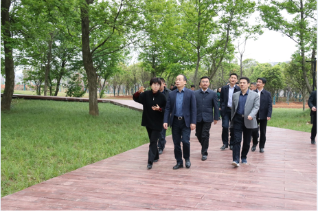 常德市委書記周德睿調(diào)研柳林生態(tài)公園