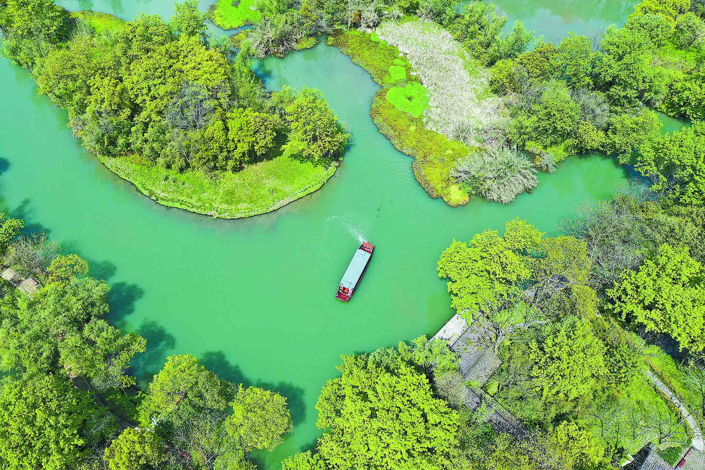 我國(guó)濕地保護(hù)率超52%，呵護(hù)&ldquo;地球之腎&rdquo; 拓展綠色空間