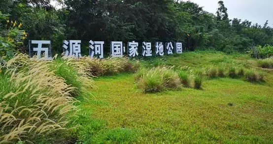 【案例賞析】海口五源河國家濕地公園